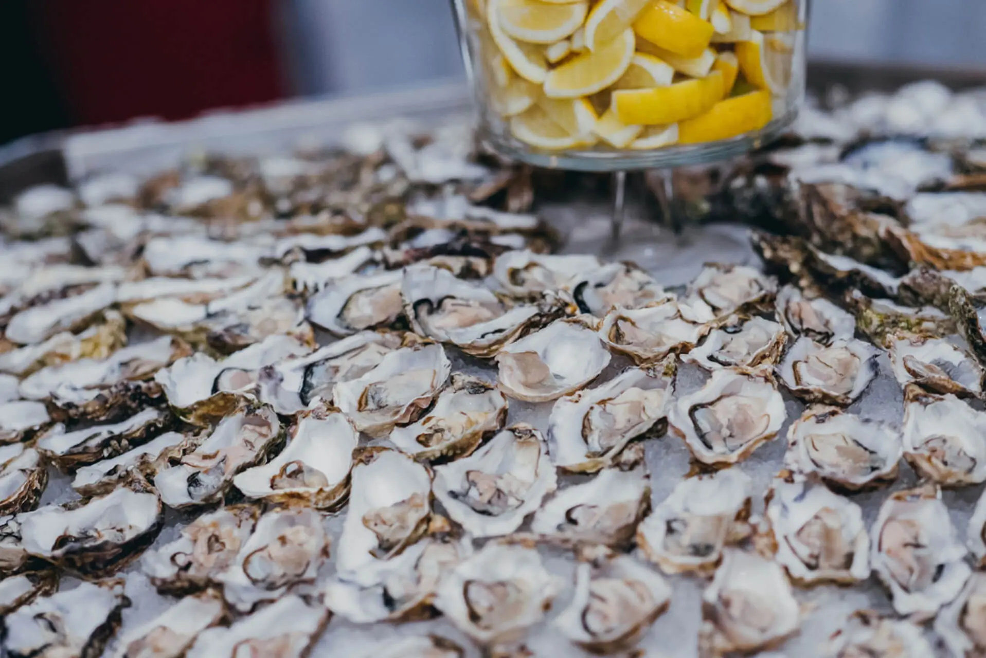 Oesters bij Alta Ripa