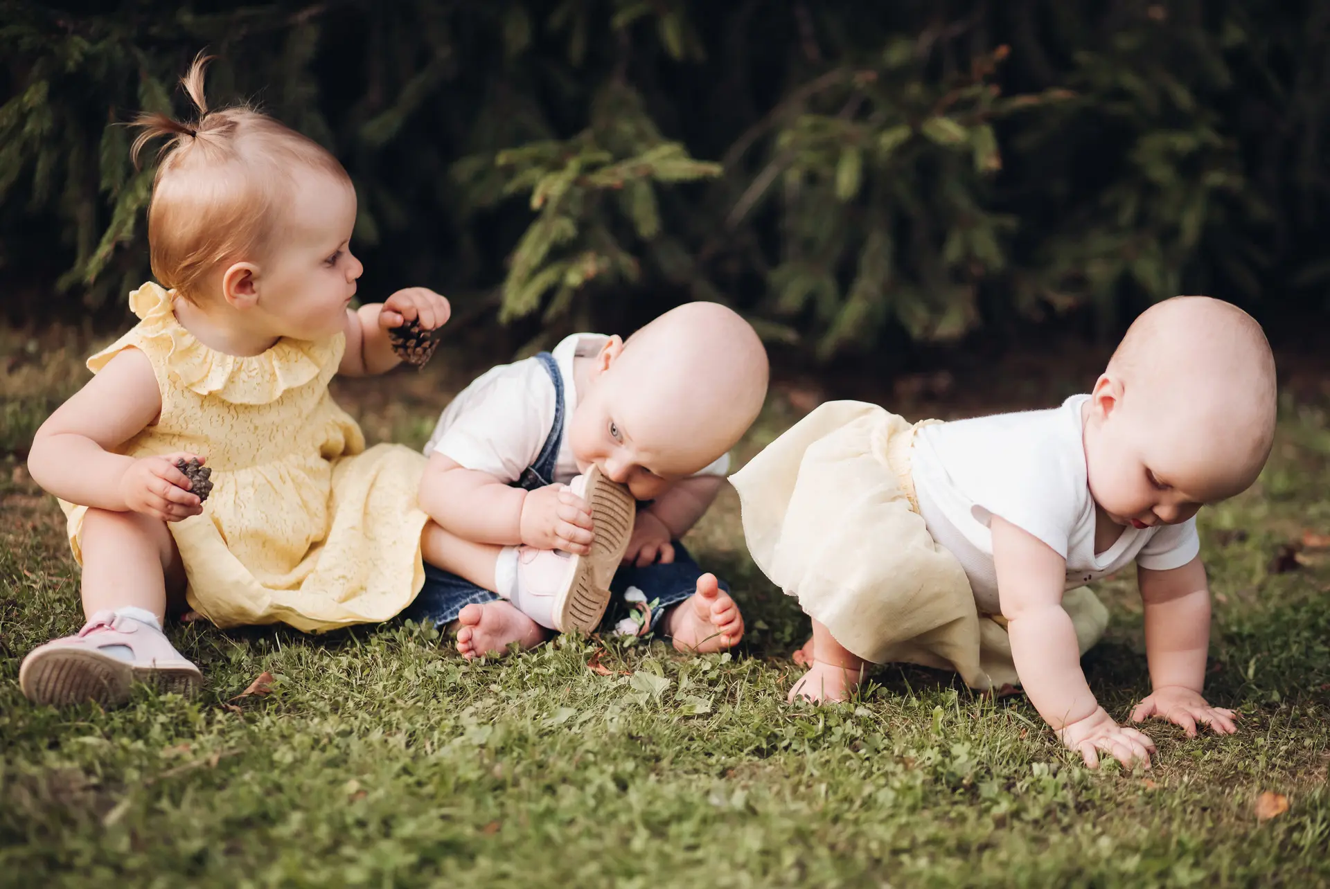 Drie kleine kinderen spelen en kruipen in het gras